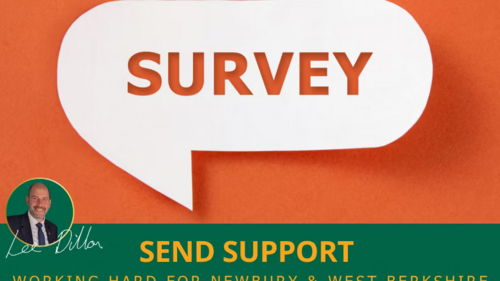 SEND survey